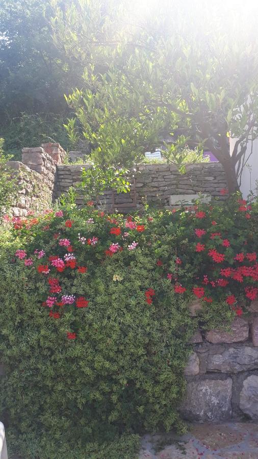 Vila Lucice Petrovac Exterior foto
