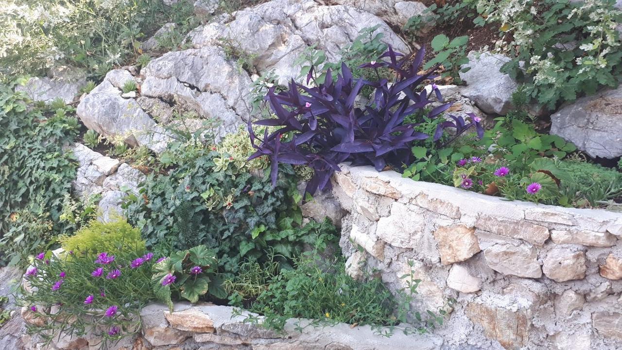 Vila Lucice Petrovac Exterior foto